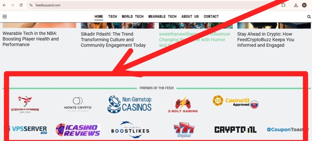 Advertise Feedbuzzard